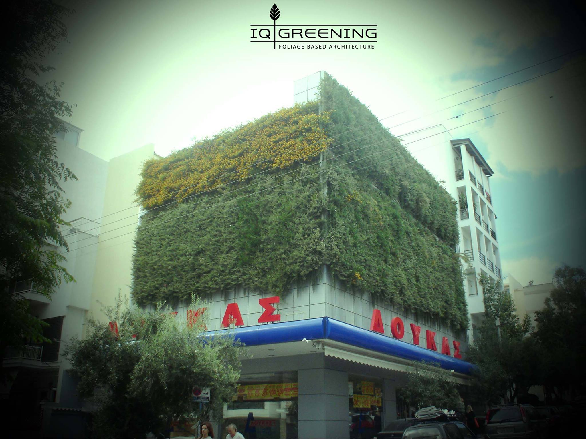 The 1st Vertical Hydroponic Wall in Super Market